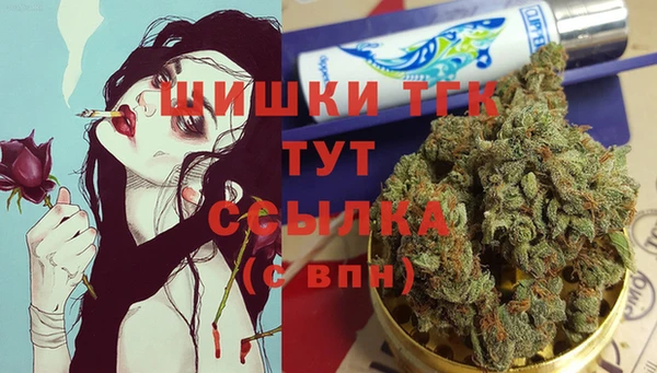 тгк Армянск