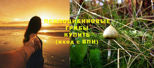 тгк Армянск
