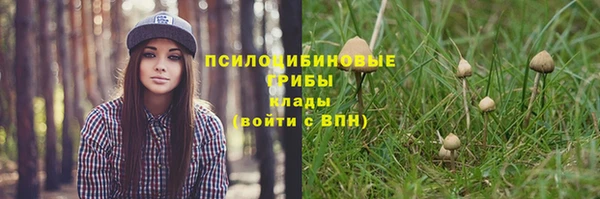 меф Арсеньев