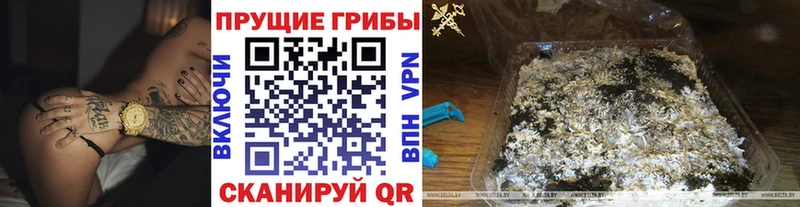 цена наркотик  Аткарск  Галлюциногенные грибы GOLDEN TEACHER 